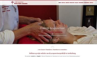 Schermafbeelding van acupunctuurmcj.nl