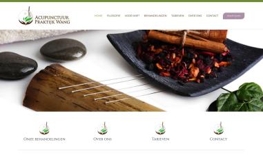 Schermafbeelding van acupunctuurpraktijkwang.nl