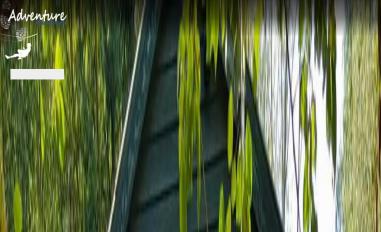 Schermafbeelding van adventurevlaardingen.nl