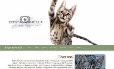 Schermafbeelding van africansavannah.eu