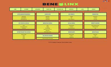 Schermafbeelding van allesovermarketing.benelinx.nl