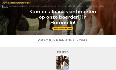 Schermafbeelding van alpacaboerderijhummelo.nl