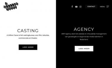 Schermafbeelding van amillionfaces.nl