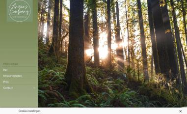 Schermafbeelding van angiescompany.nl