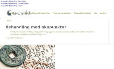 Schermafbeelding van apunkt.dk