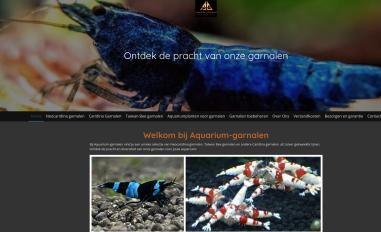 Schermafbeelding van aquarium-garnalen.nl
