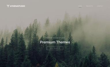 Schermafbeelding van athenastudio.co