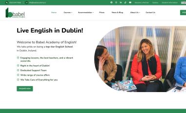 Schermafbeelding van babelacademy.ie