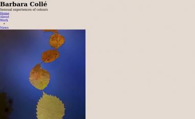 Schermafbeelding van barbaracolle.nl