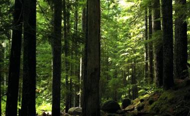 Schermafbeelding van belgianspirits.com