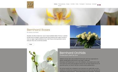 Schermafbeelding van bernhard.nl