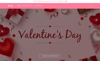 Schermafbeelding van berosa.nl