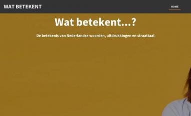 Schermafbeelding van betekenis.jouwweb.nl