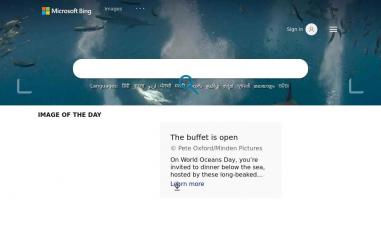 Schermafbeelding van bing.com