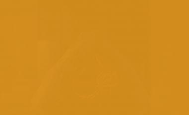 Schermafbeelding van biobibar.vercel.app