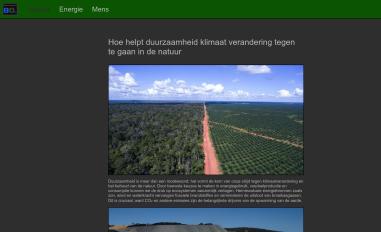 Schermafbeelding van bitdeveloper.nl