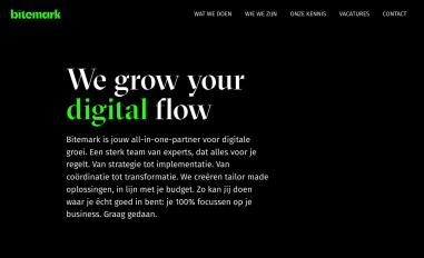 Schermafbeelding van bitemark.be