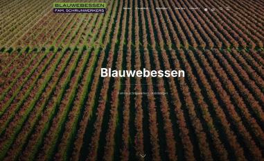 Schermafbeelding van blauwebessen.be