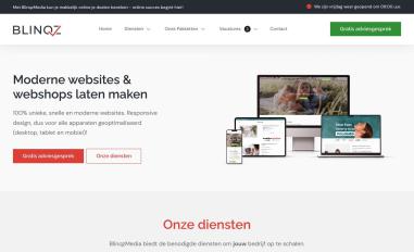 Schermafbeelding van blinqzmedia.nl