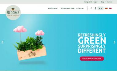 Schermafbeelding van bloomsoutofthebox.nl