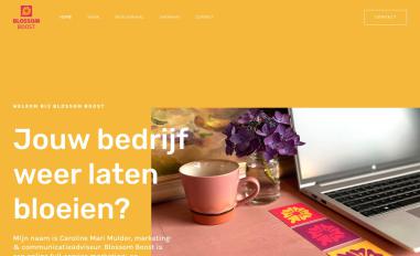 Schermafbeelding van blossomboost.nl