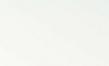 Schermafbeelding van blue-identity.com