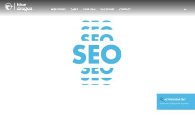Schermafbeelding van bluedragon.nl