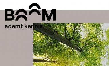 Schermafbeelding van boomprofessionals.nl