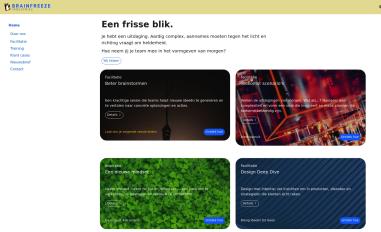 Schermafbeelding van brainfreeze.industries