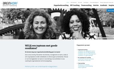 Schermafbeelding van breinkorf.nl