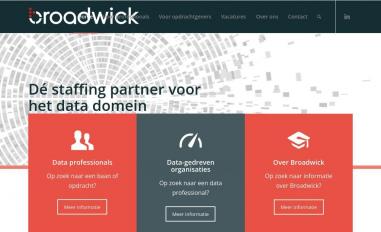 Schermafbeelding van broadwick.nl