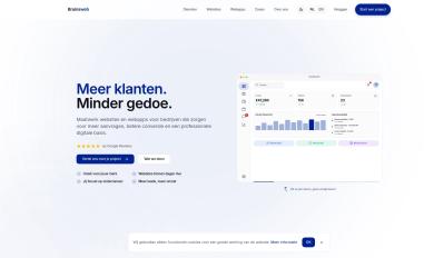 Schermafbeelding van bruinsweb.nl