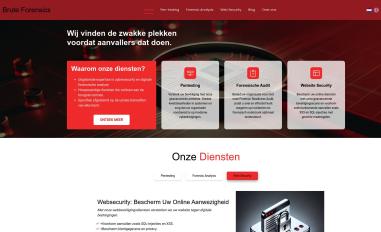 Schermafbeelding van bruteforensics.nl