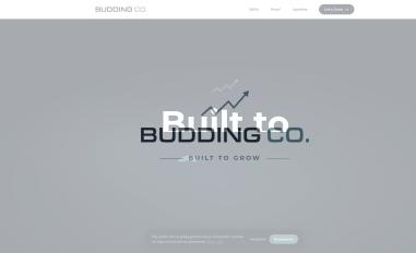 Schermafbeelding van buddingco.nl