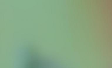 Schermafbeelding van budmail420.com