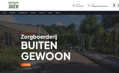 Schermafbeelding van buitengewoonlelystad.nl