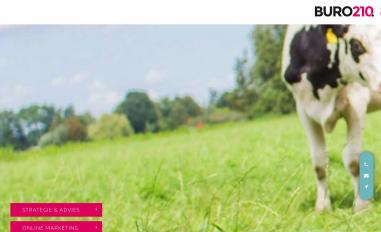 Schermafbeelding van buro210.nl