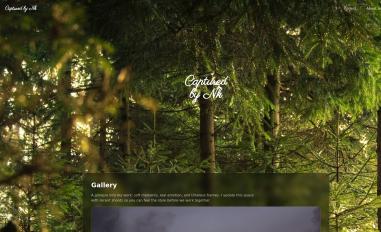 Schermafbeelding van capturedbynk.com