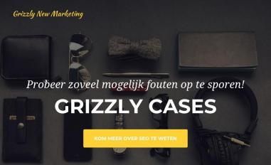 Schermafbeelding van cases.grizzly.marketing