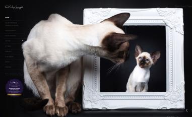 Schermafbeelding van catchyimages.nl