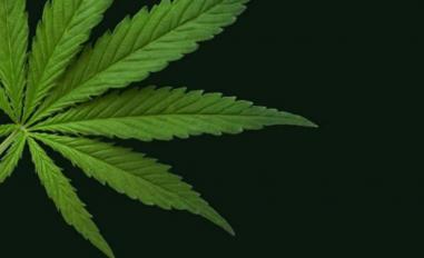 Schermafbeelding van cbd-finder.ch