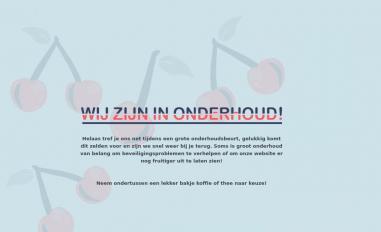 Schermafbeelding van cherrychapter.nl