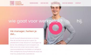 Schermafbeelding van coachconsultcollectief.nl