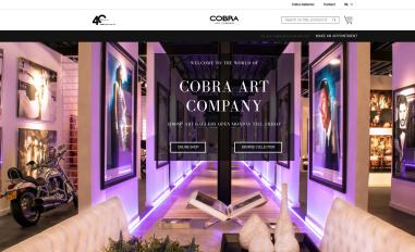 Schermafbeelding van cobraart.nl