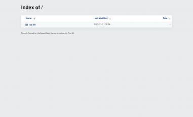 Schermafbeelding van coches.biz