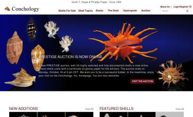 Schermafbeelding van conchology.be