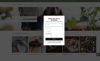 Schermafbeelding van cooperandquint.com