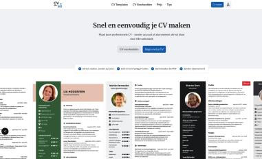 Schermafbeelding van cvtogo.nl