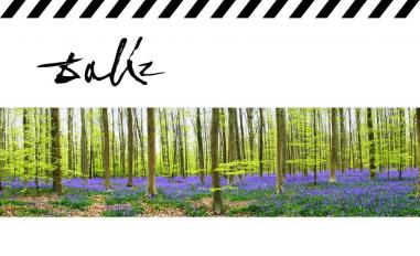 Schermafbeelding van daliz.nl