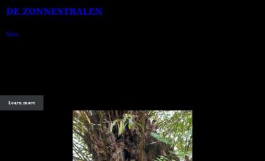 Schermafbeelding van de-zonnestralen.nl